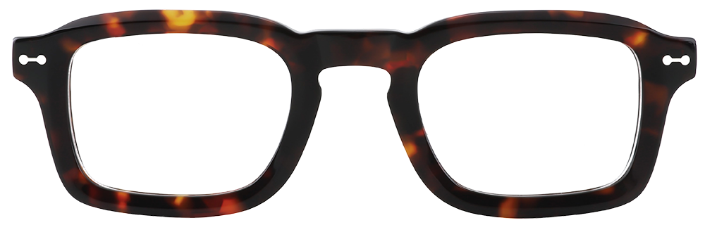 Try on Prescription Glasses 21203 Tortoise