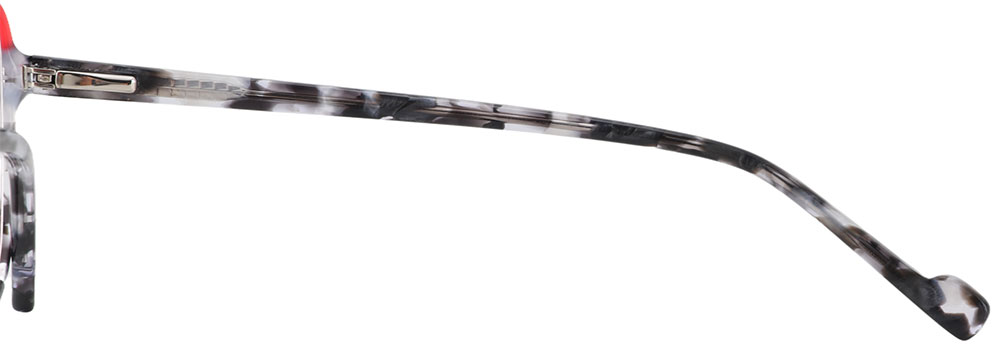 Prescription Glasses 21219 Tortoise Red