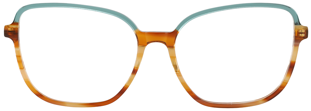 Try on glasses: Prescription Glasses 21219 Tortoise