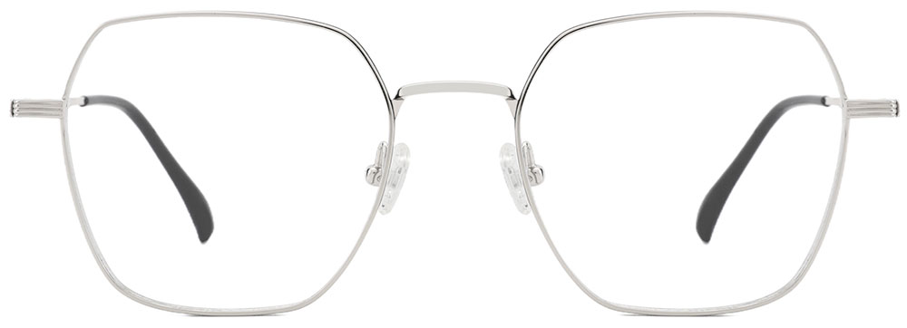 Titanium Prescription Glasses 26012 Silver from Cheapglasses123.com