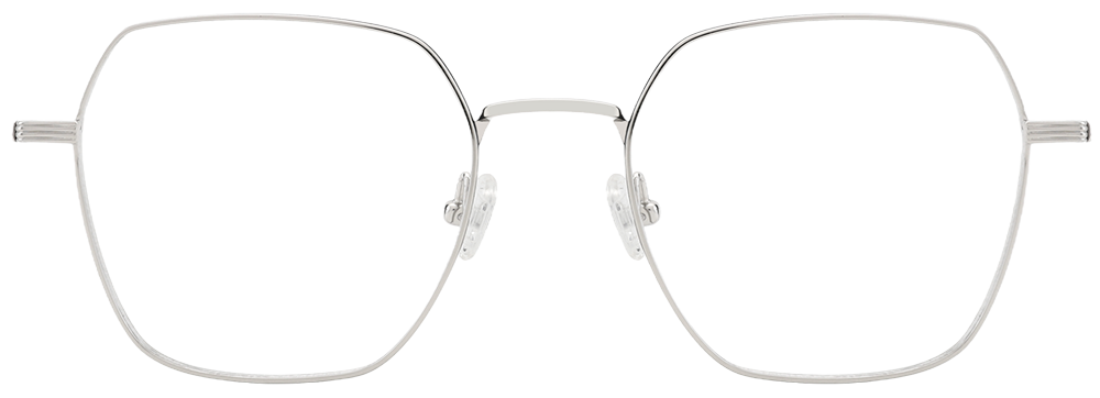 Try on Titanium Prescription Glasses 26012 Silver