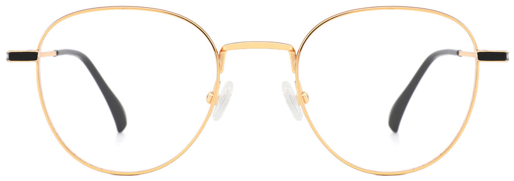 Titanium Prescription Glasses 26020 Gold from cheapglasses123.com