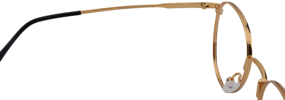 Titanium Prescription Glasses 26020 Gold