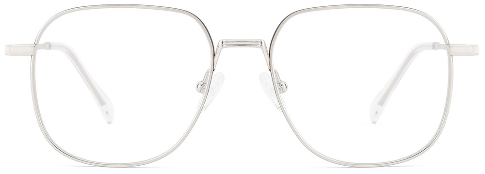 Titanium Prescription Glasses 26033 Silver
