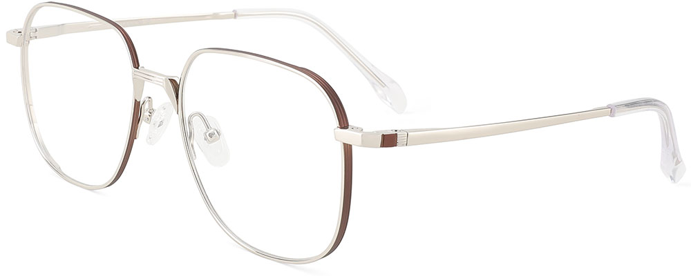 Titanium Prescription Glasses 26033 Silver from cheapglasses123.com