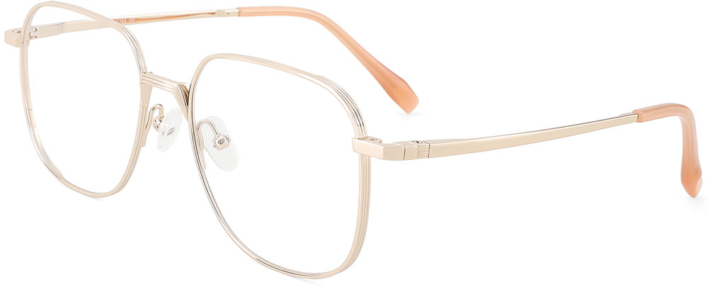 Titanium Prescription Glasses 26033 Gold from cheapglasses123.com