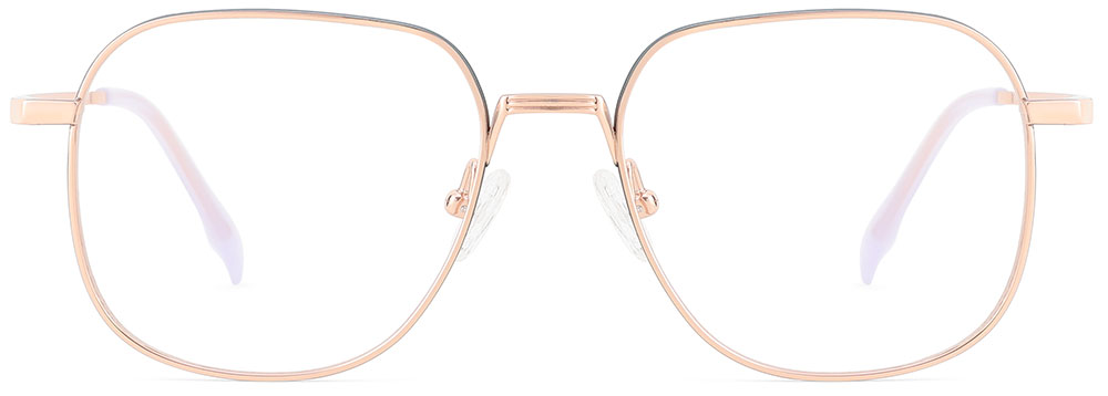 Titanium Prescription Glasses 26033 Gray