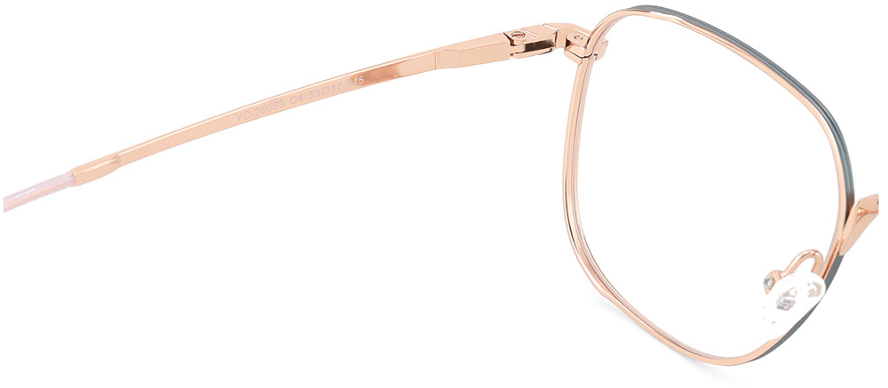 Titanium Prescription Glasses 26033 Gray