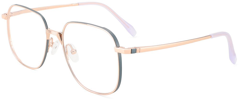 Titanium Prescription Glasses 26033 Gray from cheapglasses123.com