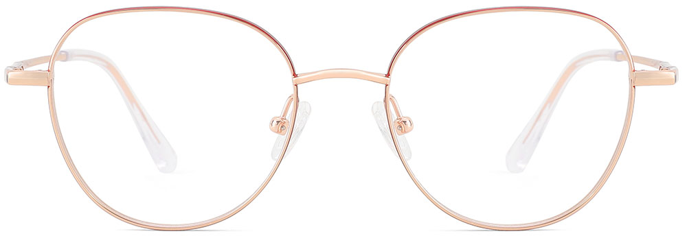 Titanium Prescription Glasses 26034 Red Gold
