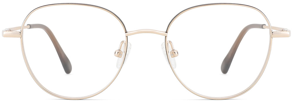 Titanium Prescription Glasses 26034 Gold