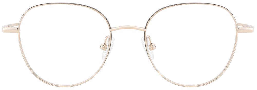 Try on Titanium Prescription Glasses 26034 Gold