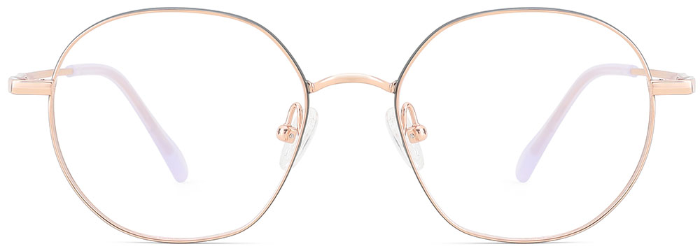 Titanium Prescription Glasses 26035 Gold Clear