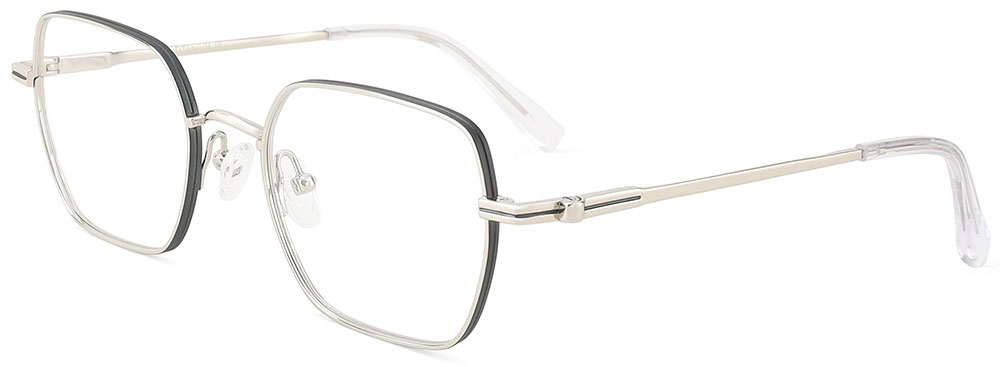 Titanium Prescription Glasses 26037 Silver from cheapglasses123.com