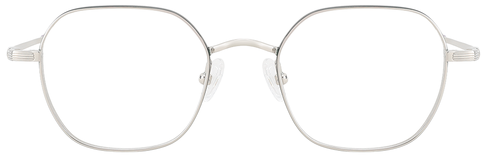 Try on Titanium Prescription Glasses 26038 Silver