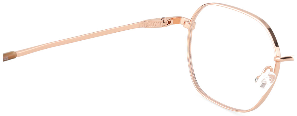 Titanium Prescription Glasses 26038 Gold
