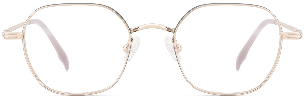 Titanium Prescription Glasses 26038 Gold Black