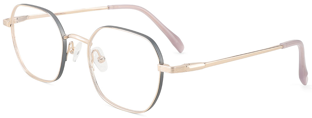 Titanium Prescription Glasses 26038 Gold Black from cheapglasses123.com