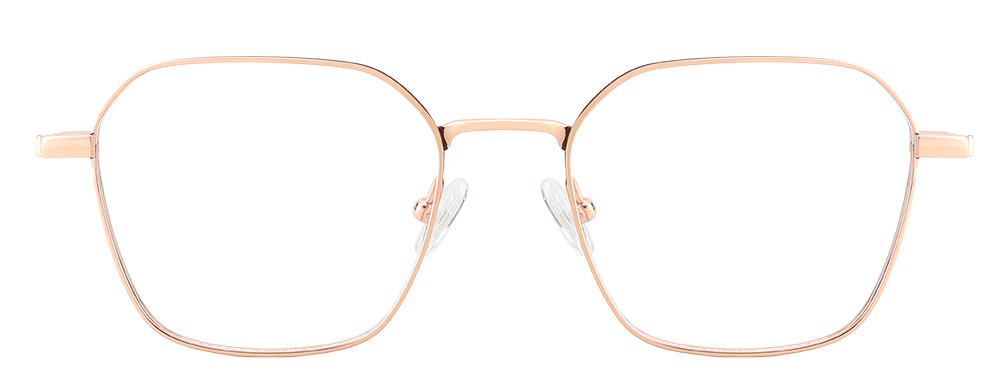 Try on Titanium Prescription Glasses 26040 Gold Brown