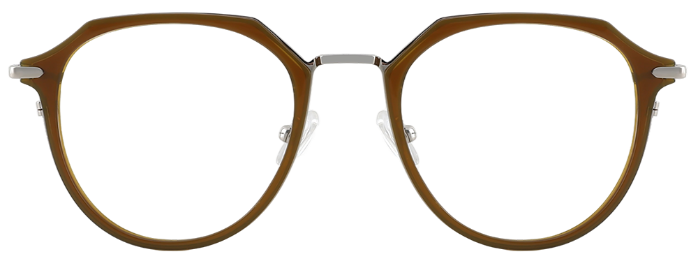 Try on glasses: Prescription Glasses 35023 Brown Silver