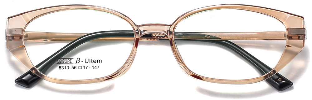 Magnetic Clip-On Sunglasses 8313 Brown Clear