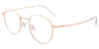 Titanium Prescription Glasses 26022 Gold