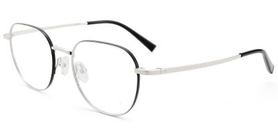 Titanium Prescription Glasses 26024 Silver