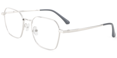 Titanium Prescription Glasses 26040 Silver