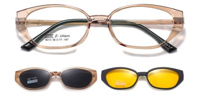 Magnetic Clip-On Sunglasses 8313 Brown Clear